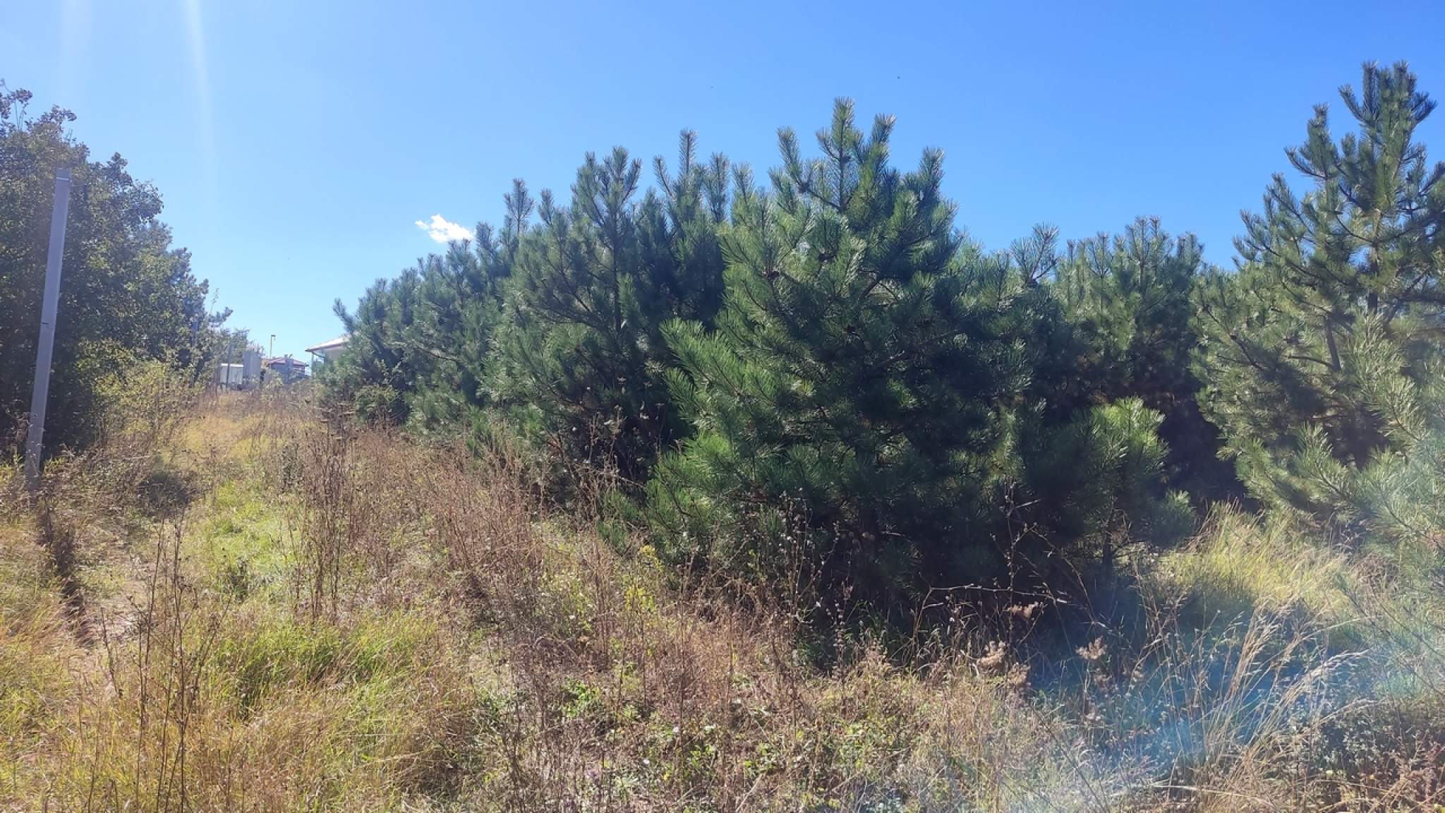 Продажа участка, Андрусово