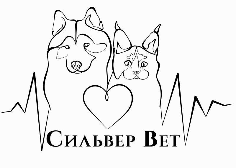 Ветеринарная клиника СильверВет